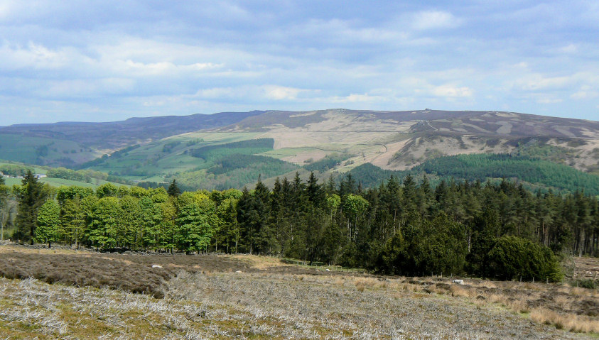 Derwent Edge