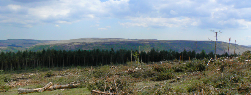 Stanage Edge