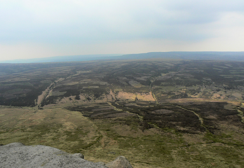 Featherbed Top