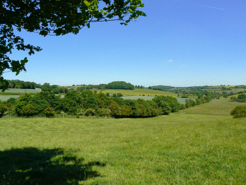 Coalburn Hill