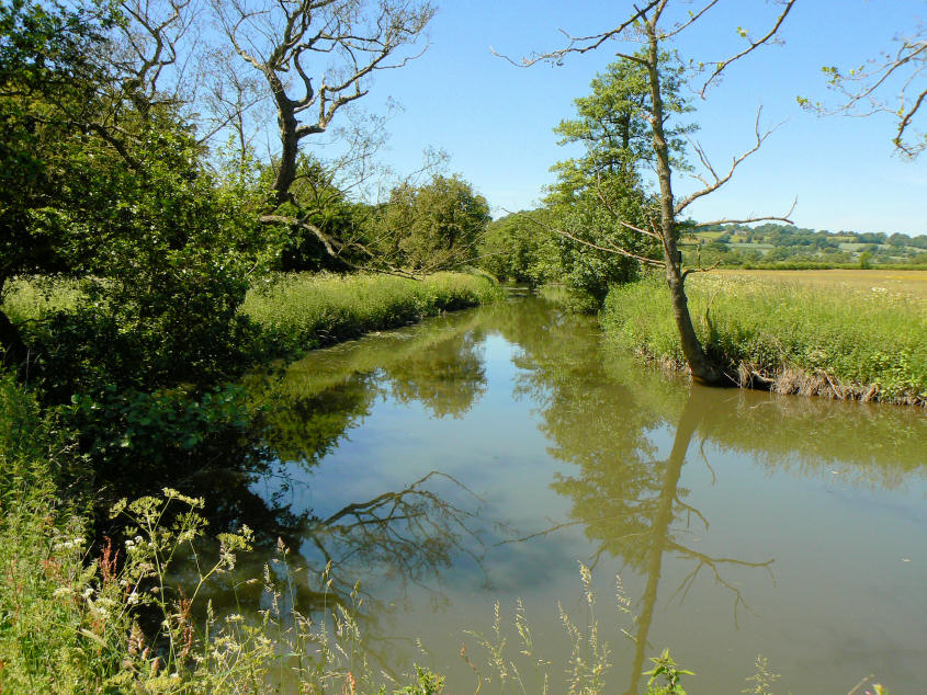 River Amber