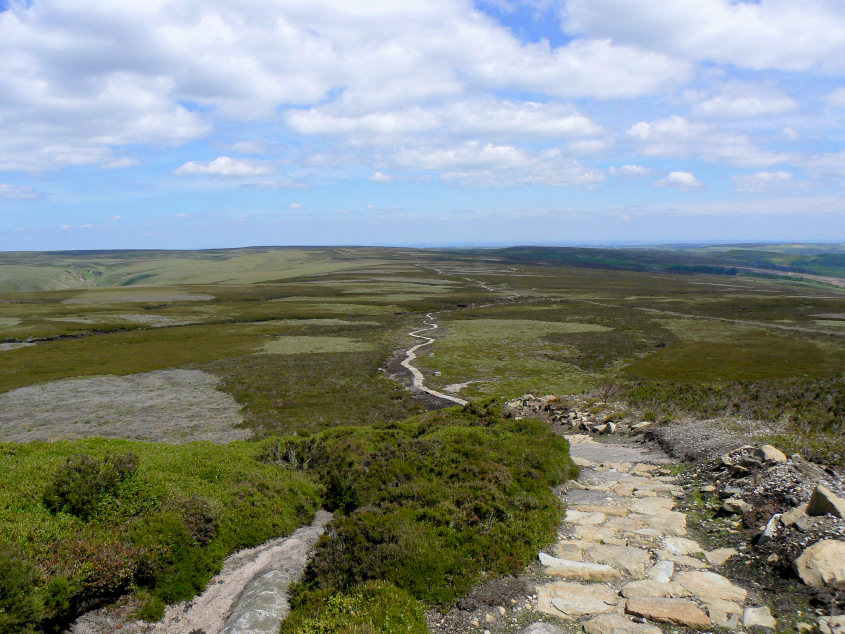 Cartledge Stones Ridge