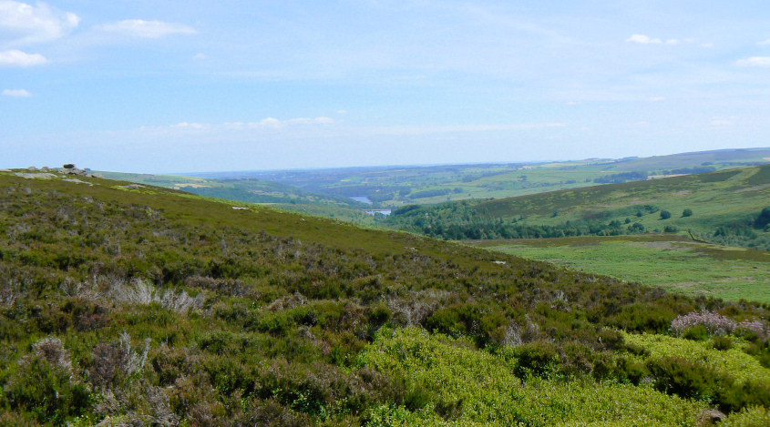 Agden & Damflask Reservoirs