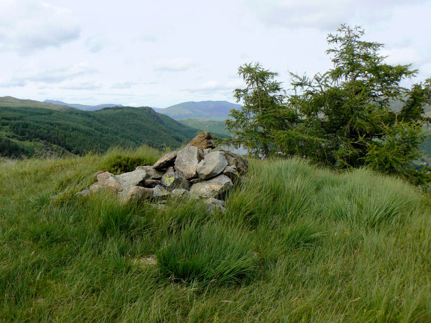 Fisher Crag's summit