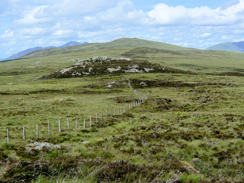 Shivery Knott