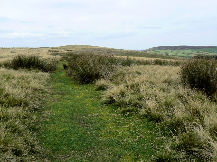 Abney Moor