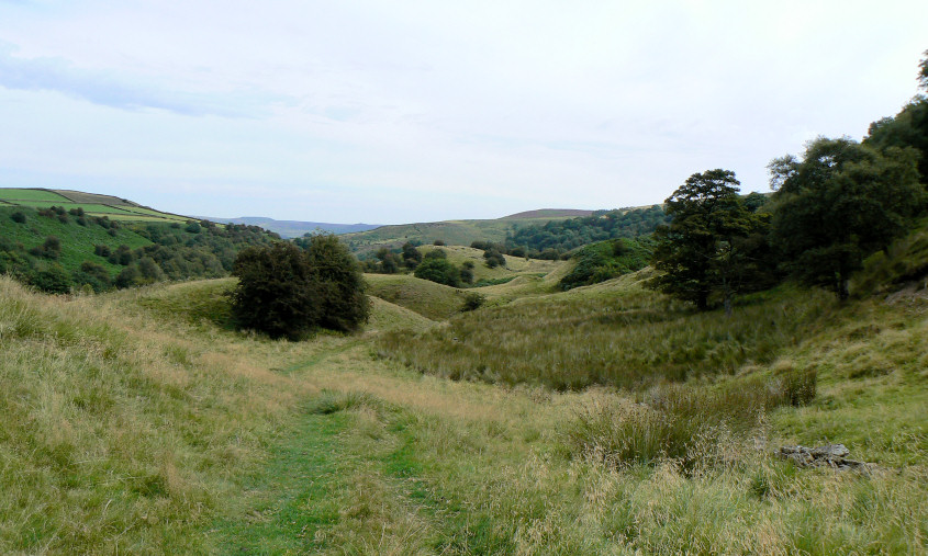 Bretton Clough