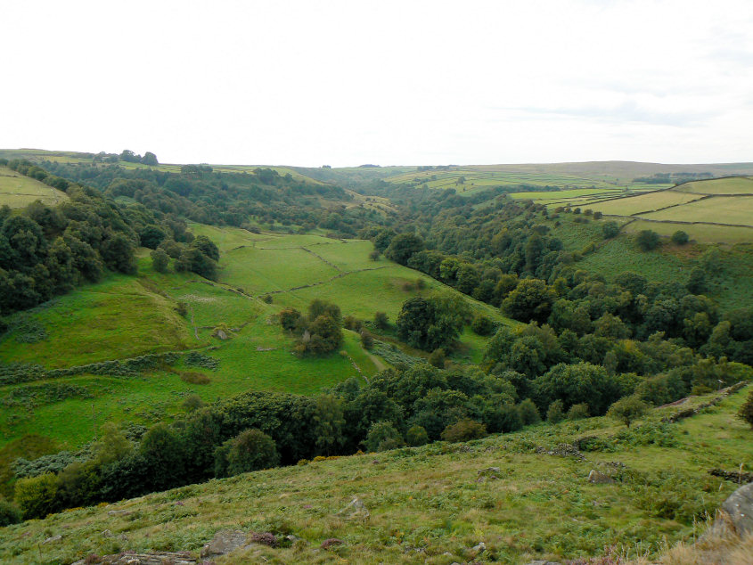 Bretton Clough