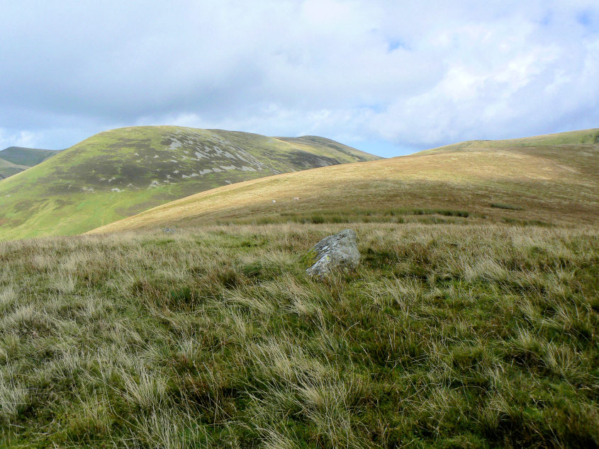 White Hause summit