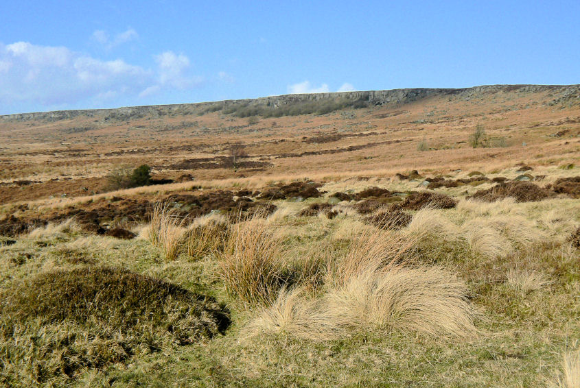 Burbage Rocks