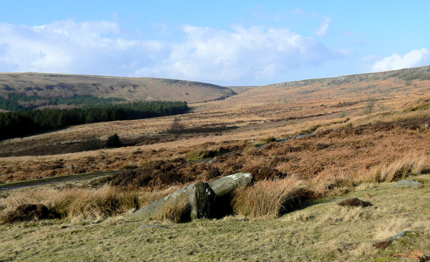 Burbage Rocks