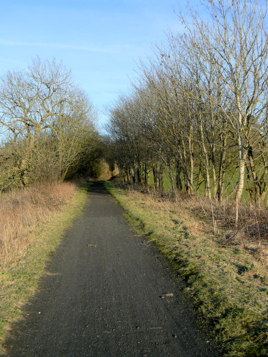 High Peak Trail