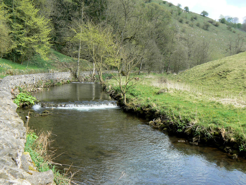 Mill Dale