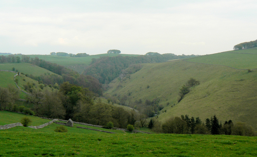 Mill Dale