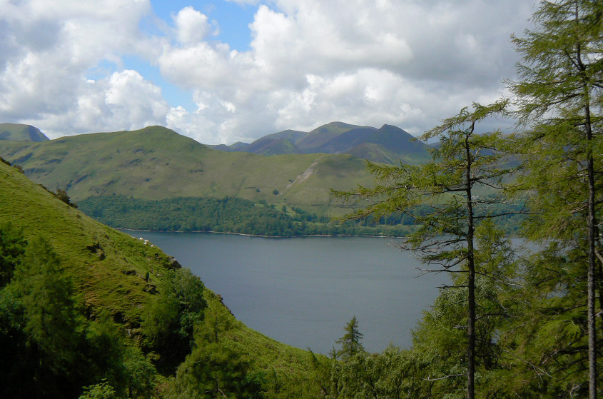 Catbells