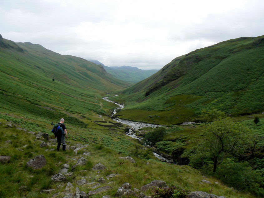 Lingcove Beck