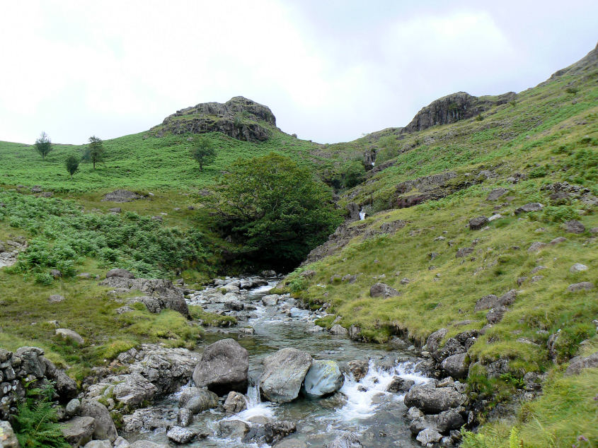 Lingcove Beck