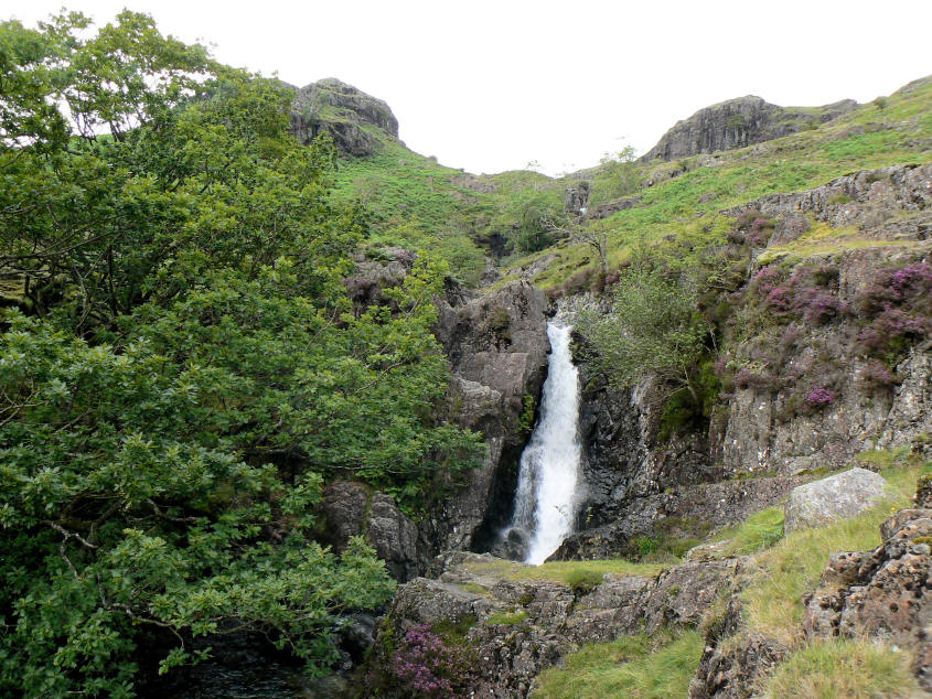 Lingcove Beck