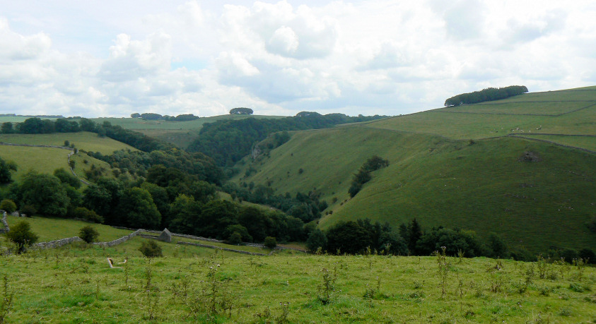 Mill Dale