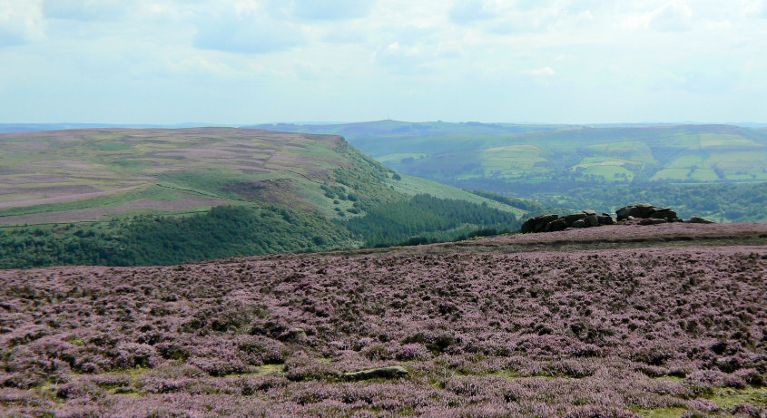 Bamford Edge