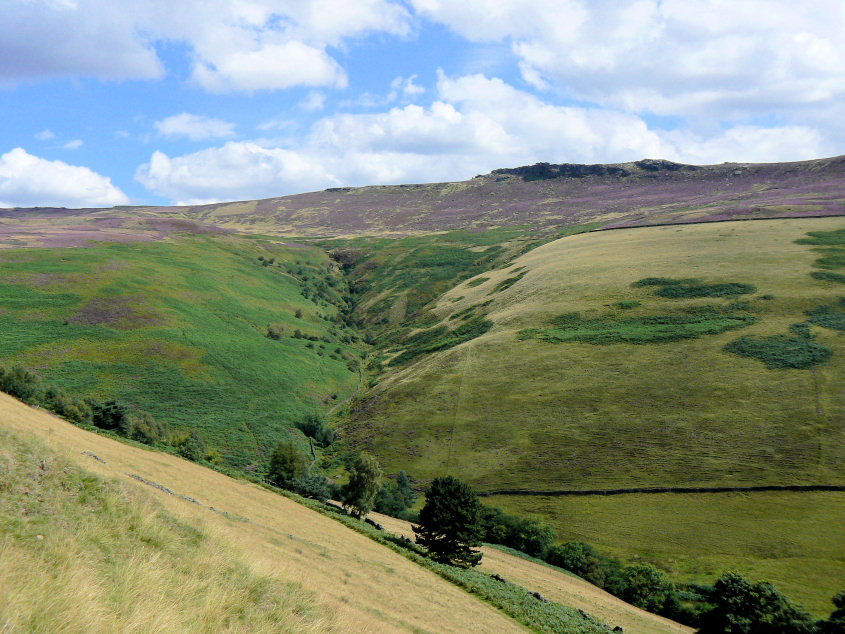 Dovestone Clough