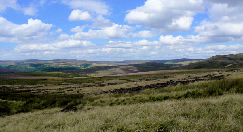 Howden Edge