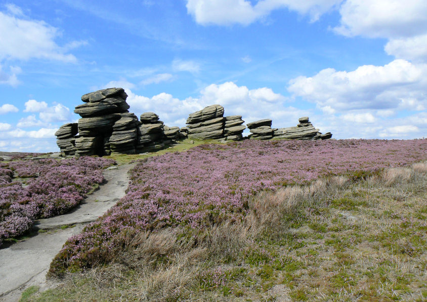 Wheel Stones