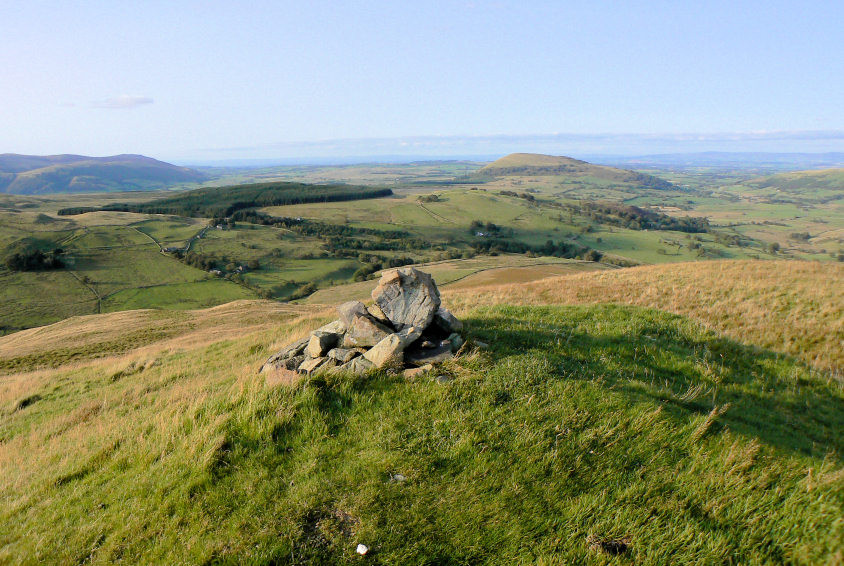 Common Fell's summit