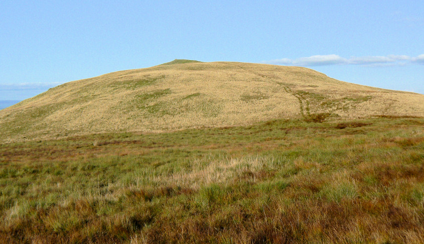 Common Fell