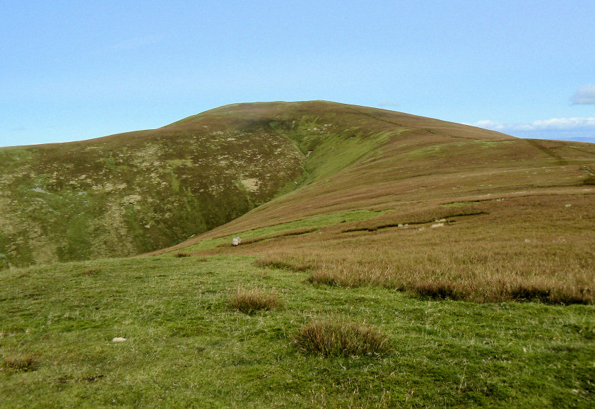 Great Dodd