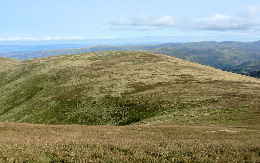 White Stones on Green Side