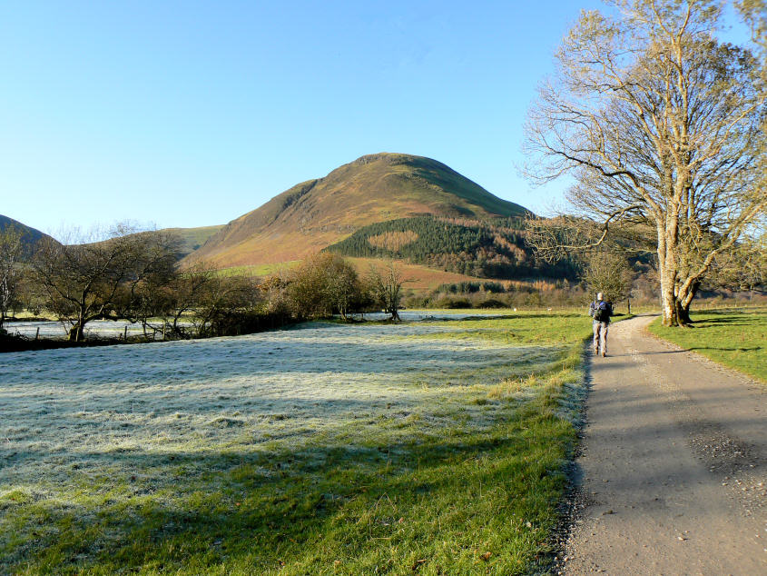 Carling Knott