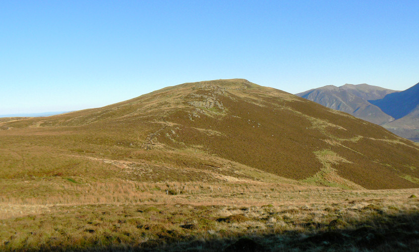 Carling Knott