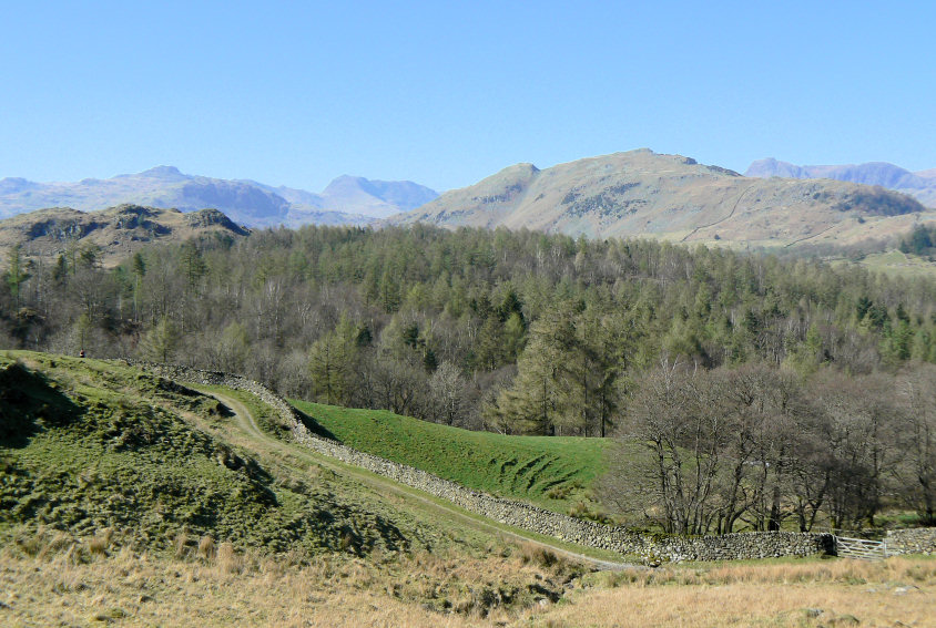 Lingmoor Fell