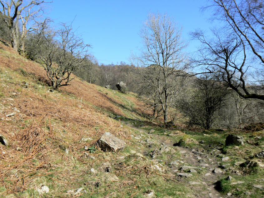 Harry Guards Wood