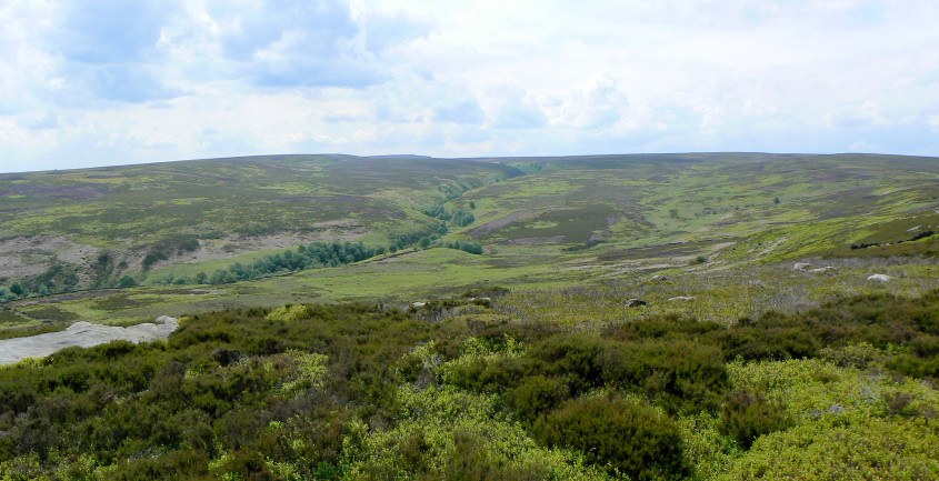 Hobson Moss Dike