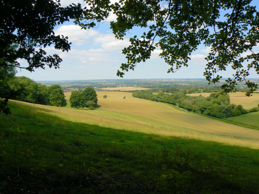 Vale of Aylesbury