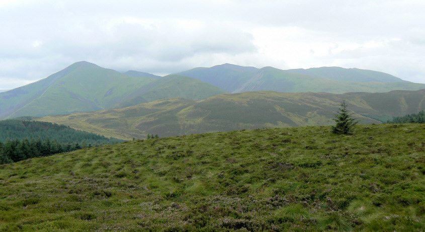 Whinlatter