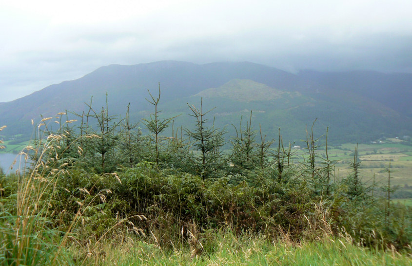 Skiddaw