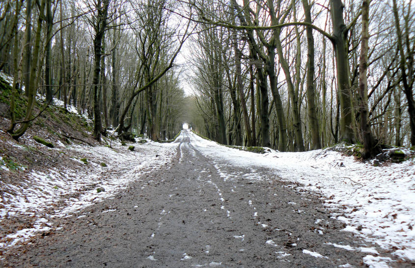 Sheep Pasture Incline