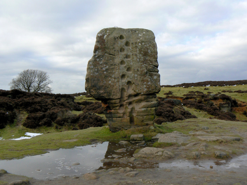 Cork Stone