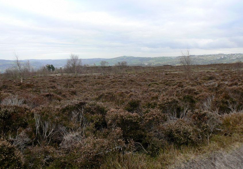 Stanton Moor