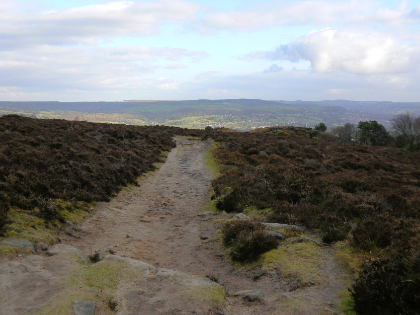 Farley Moor