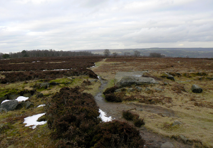 Stanton Moor