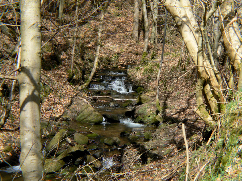 Beeley Brook