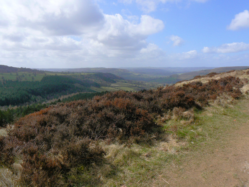 Derwent Valley