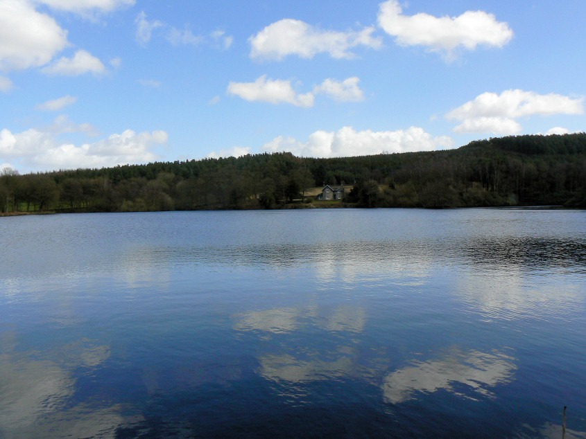 Swiss Lake