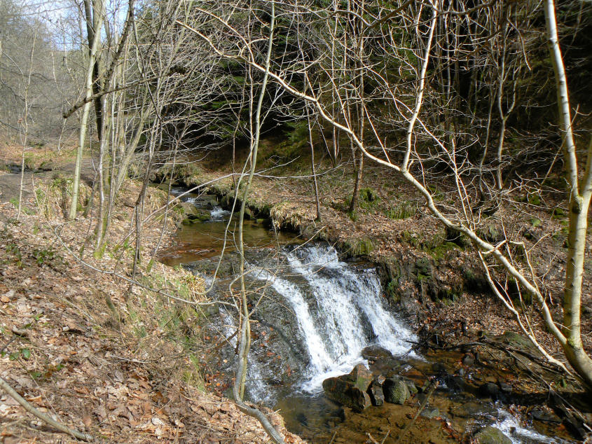 Beeley Brook