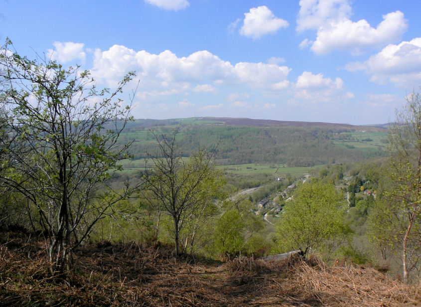 Eyam Moor