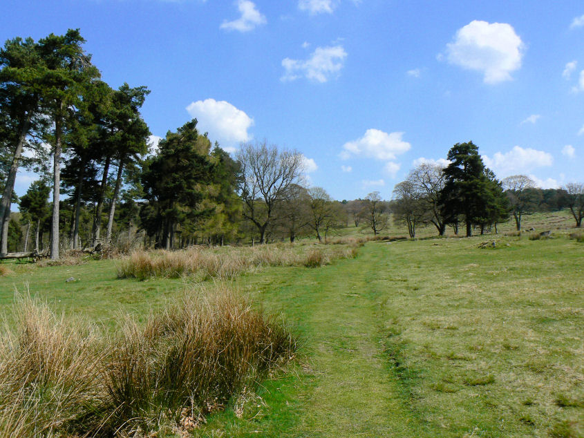 Longshaw Estate